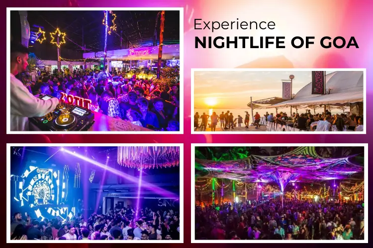 Places to Experience the Nightlife of Goa