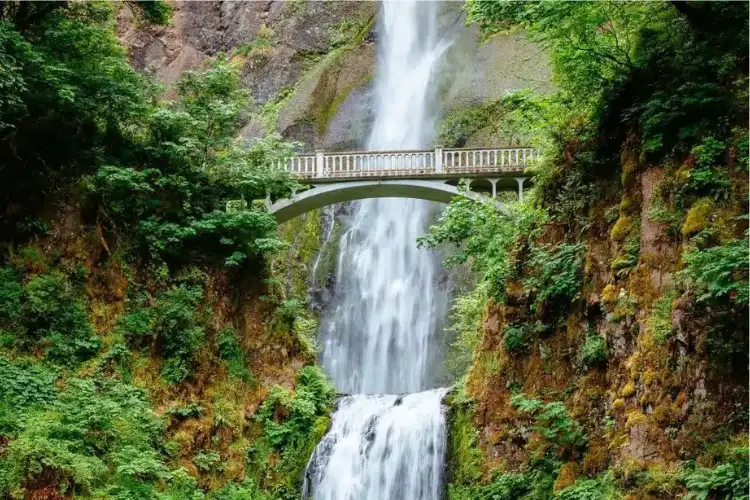 Dudhsagar Falls Goa