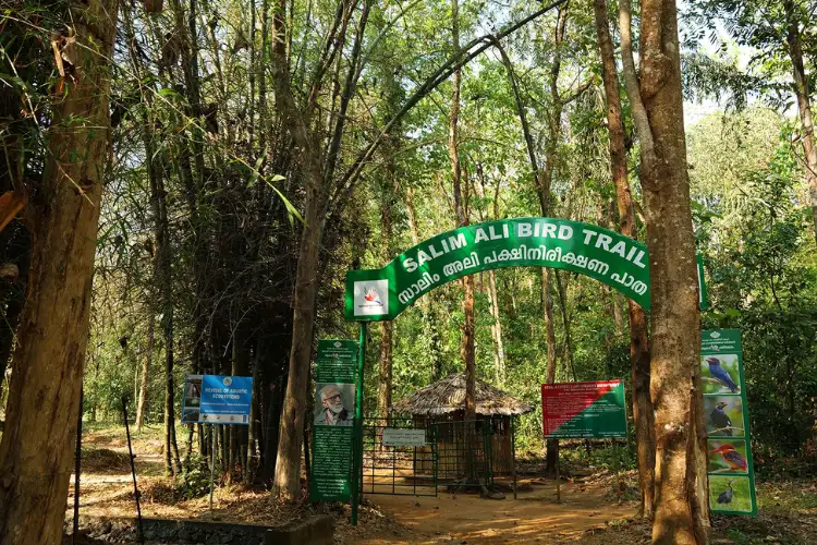 Salim Ali Bird Sanctuary Goa