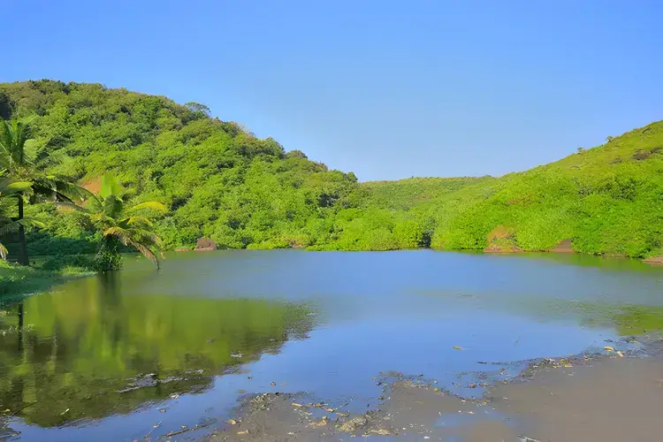 Arambol Sweet Water Lake