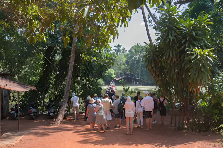 Go for a Tropical Spice Plantation Tour Goa