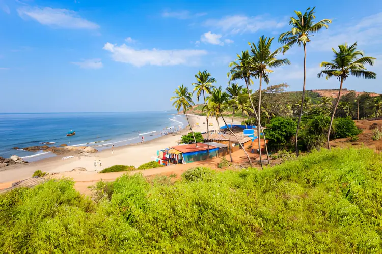 Things to Do in Goa in December